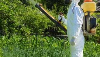 environmental-estrogens-pesticides-copy-329x321.jpg