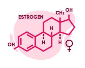 estrogens-300x240.jpg